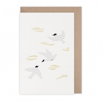 Card Mouettes rieuses