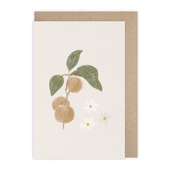 Card Abricots